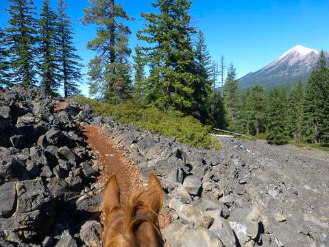 Brown Mountain Trail