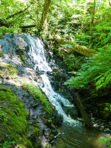 Mima Falls, Capitol State Forest