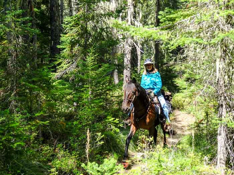 Cody Horse Camp