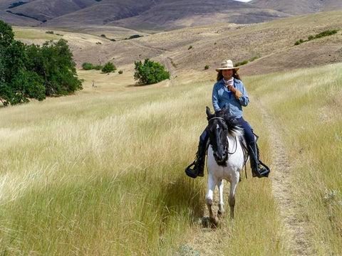 Columbia Hills State Park