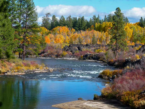 Deschutes River Trail