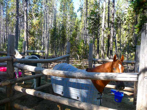 Fourmile Lake Campground