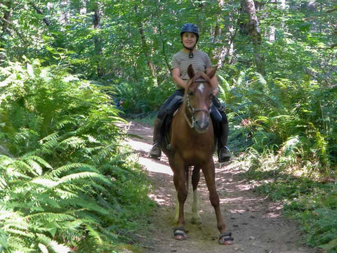 Gales Creek Trail at Reehers Camp