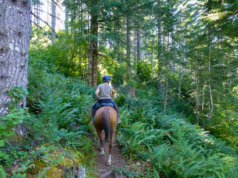 Gales Creek Trail at Reehers Camp