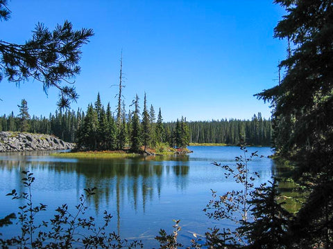 Horse Lake Loop