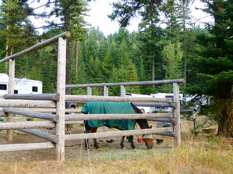 Horsemen's Trails, Gibson Prairie Horse Camp
