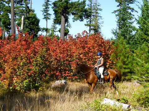 Horsemen's Trails, Gibson Prairie Horse Camp