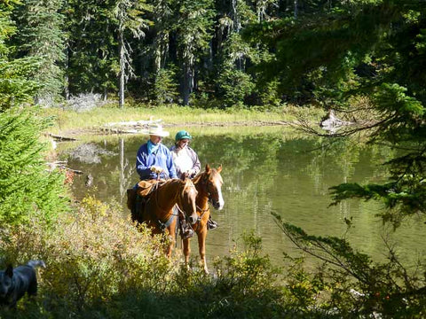 Placid Lake, Indian Heaven Wilderness