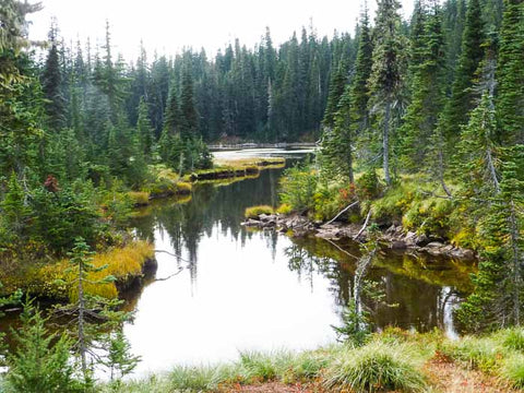 Lemei Lake, Indian Heaven Wilderness