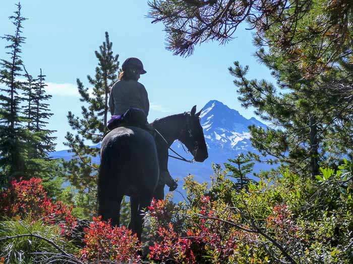 Lost Lake Horse Camp