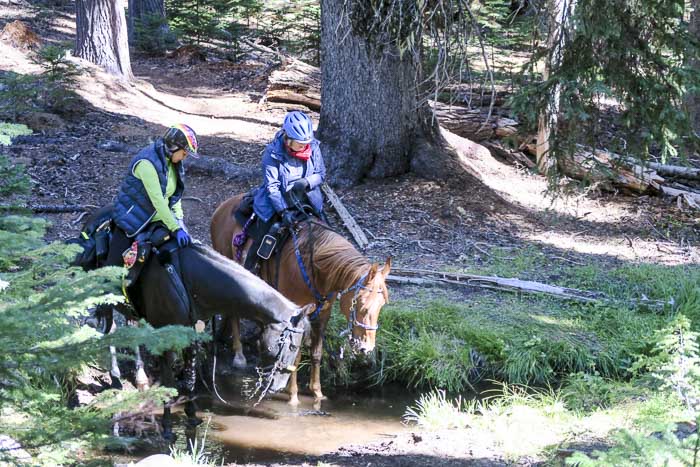 Ultralight Camping on the Metolius-Windigo Trail