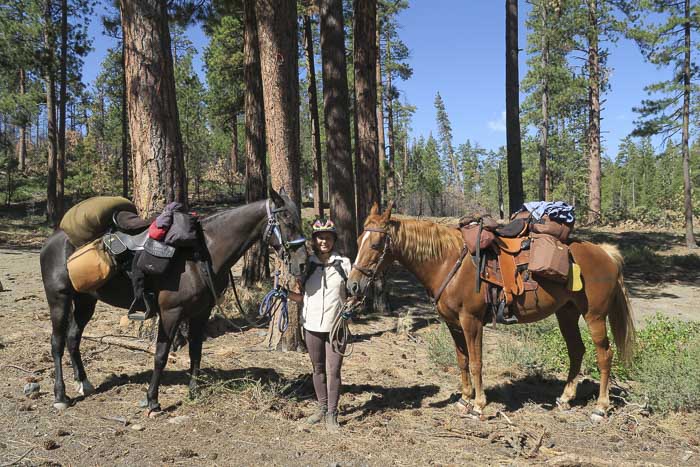 Ultralight Camping on the Metolius-Windigo Trail