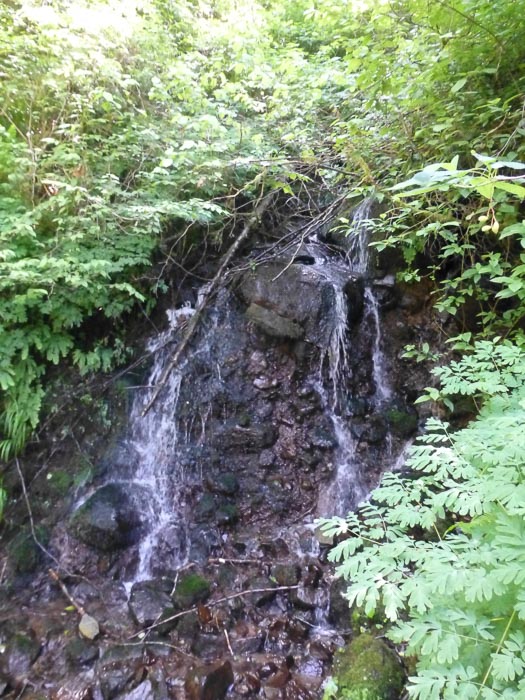 Moulton Falls Trail