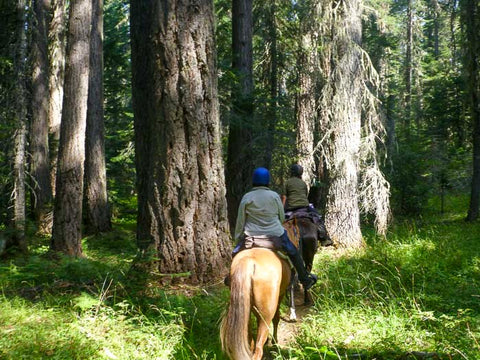 Mt. Adams Horse Camp