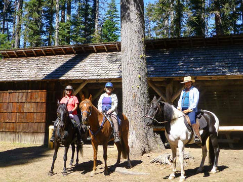 Mt. Adams Horse Camp