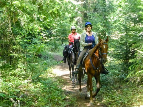 Mt. Adams Horse Camp