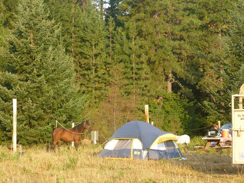 Mt. Adams Horse Camp