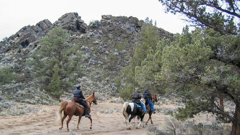 Badlands Rock Trail