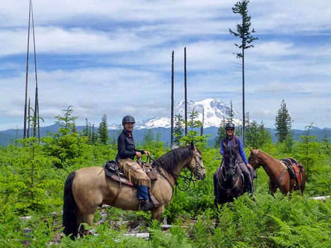 Sahara Creek Horse Camp