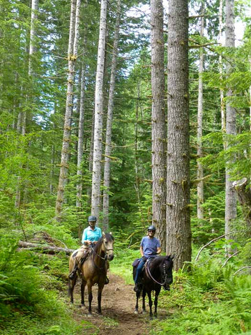 Sahara Creek Horse Camp