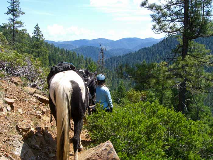 Sam Brown Horse Camp