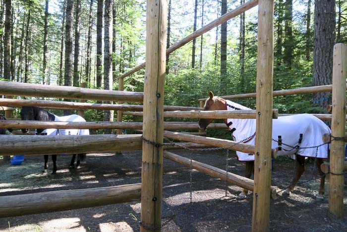 Santiam Horse Camp