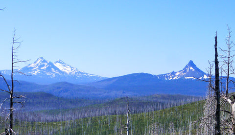 Santiam Lake Trail