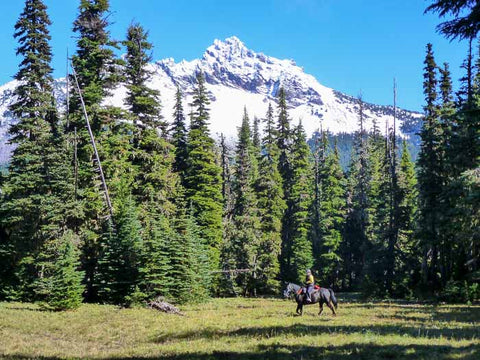 Santiam Lake Trail