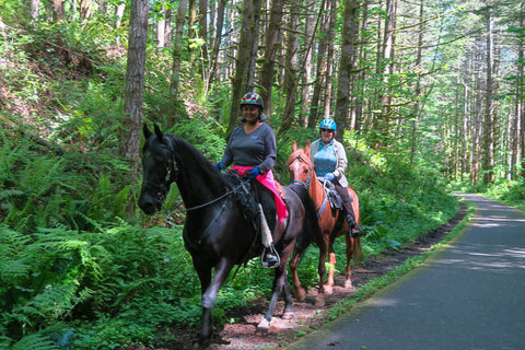 L.L. (Stub) Stewart State Park