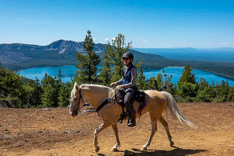 Swamp Wells Horse Camp