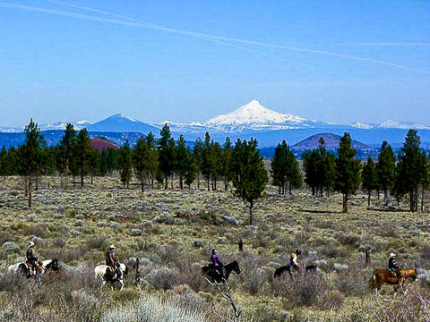 Swamp Wells Horse Camp