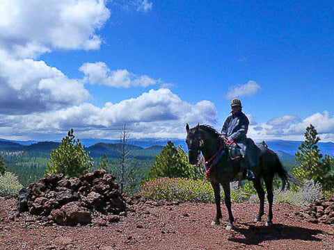 Swamp Wells Horse Camp