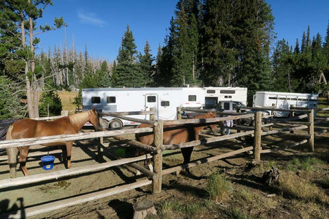 Tam Rim Horse Trail at Three Creek Meadow Horse Camp