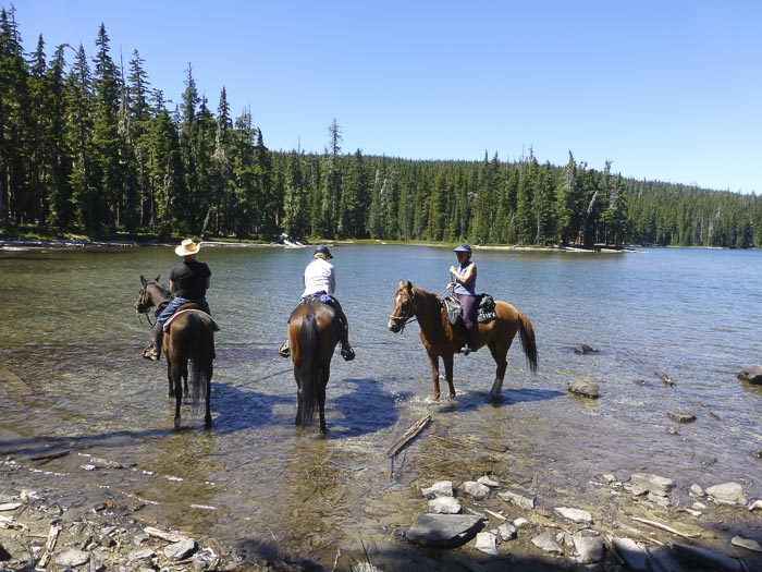 Waldo Lake & Harralson Horse Camp