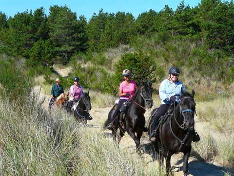 Wild Mare Horse Camp