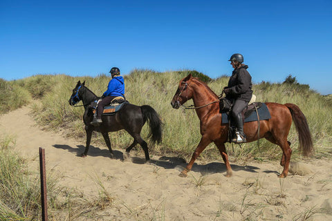 Wild Mare Horse Camp