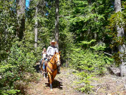 Willow Prairie Horse Camp