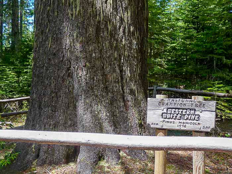 Willow Prairie Horse Camp