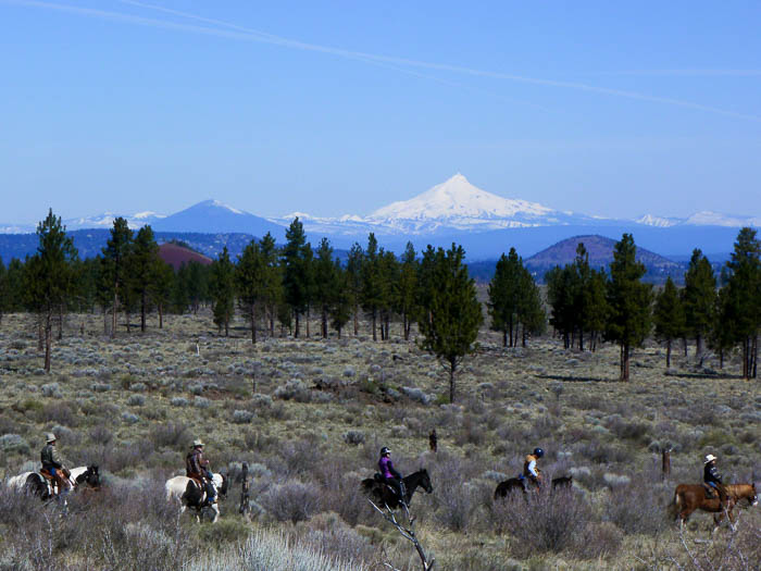 Five Winter Trails Near Bend