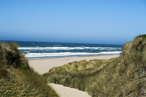 North Spit Trails