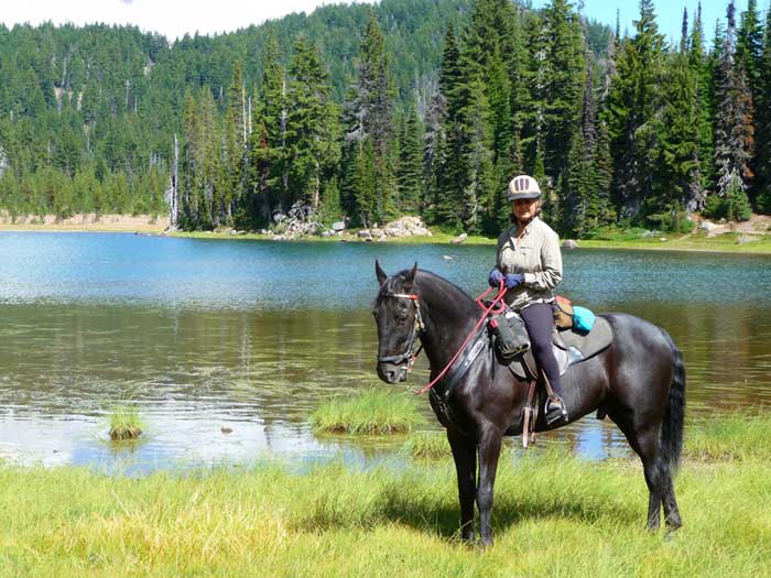 Quinn Meadow Horse Camp