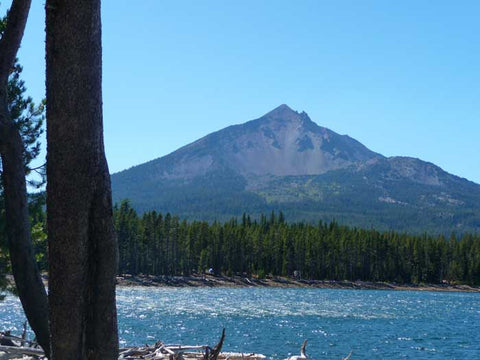 Badger Lake Trail at Fourmile Lake