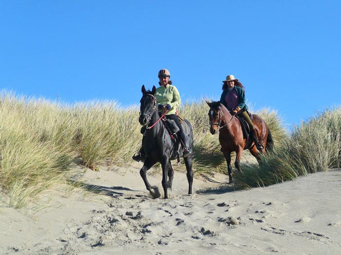 Bullards Beach State Park