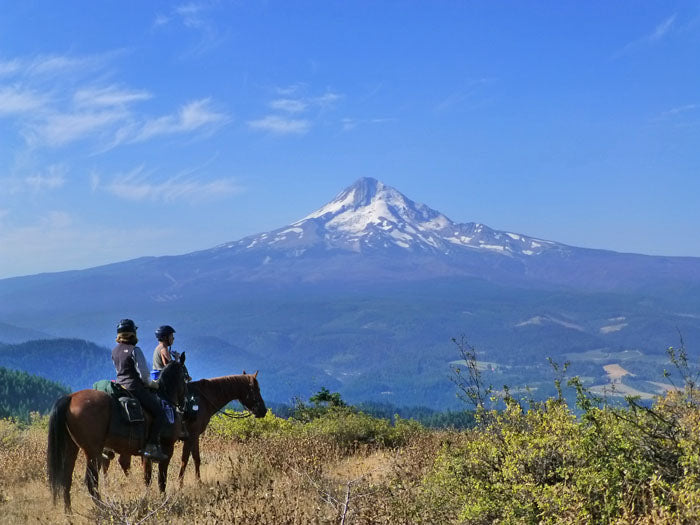 Surveyors Ridge Trail North