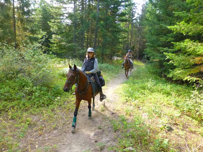 Surveyors Ridge Trail North