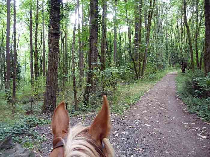 Tryon Creek State Park