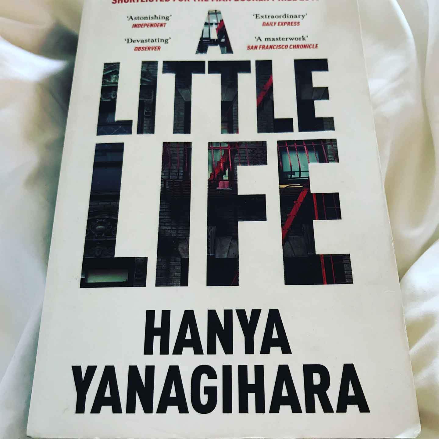 Book image of a little life 