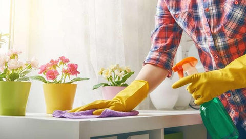 a person performing spring cleaning