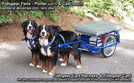 Canine Cart Harness
