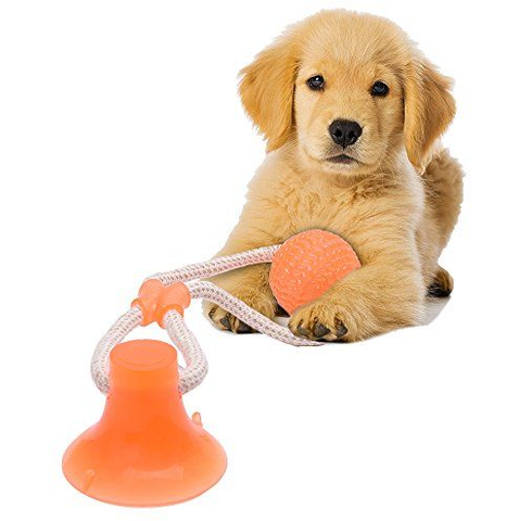 Floor Suction Tug Dog Chew Toy